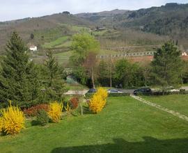 Appartamento nel verde vicino a Firenze