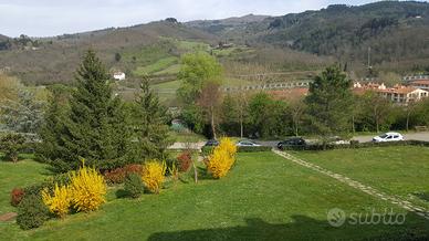 Appartamento nel verde vicino a Firenze