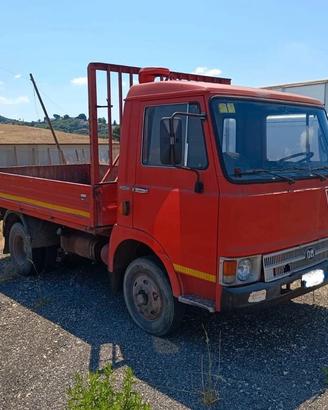 AUTOCARRO 50 OM 10 ANNO 1978