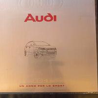 Audi 2006 un anno per lo sport