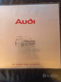 Audi 2006 un anno per lo sport