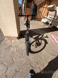 Bicicletta elettrica
