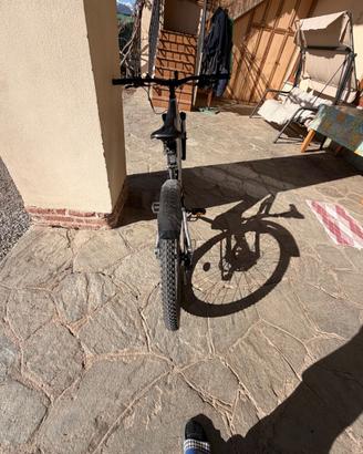 Bicicletta elettrica