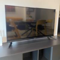 Televisore Bea 49 pollici