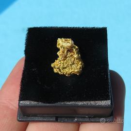 Pepita d’Oro Naturale Cristallizzata – Mt. Magnet