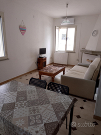 Trilocale climatizzato con giardino privato Olbia