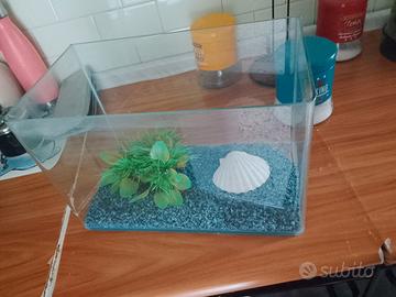 Aquario 