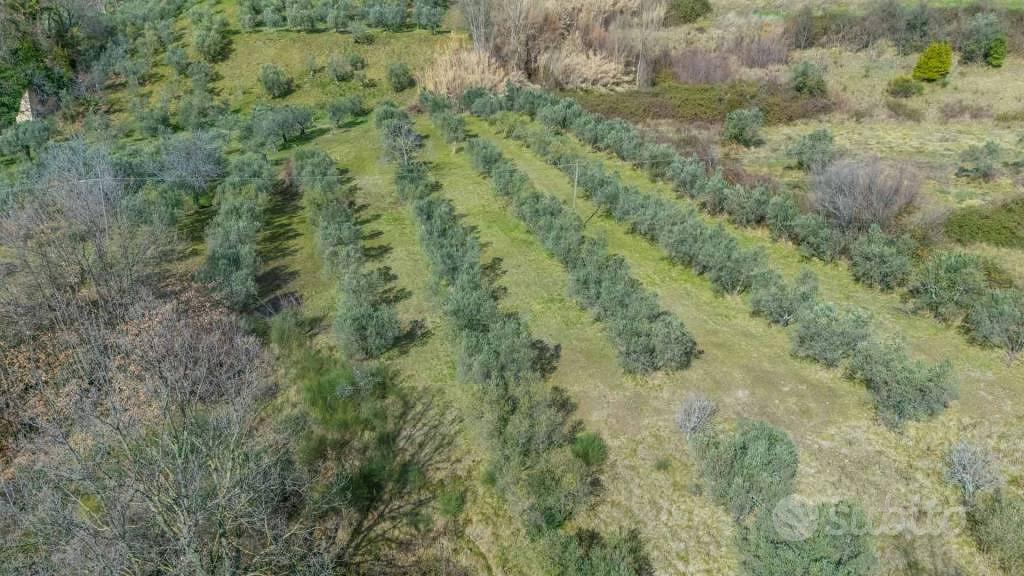 Terreno di 5630 m² a Montenero Sabino - Vista 5