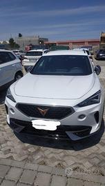 splendida cupra formentor pari al nuovo
