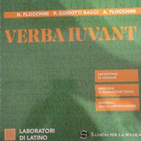verba iuvant laboratori (9788838339417)