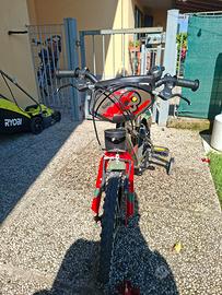Bici bambino 
