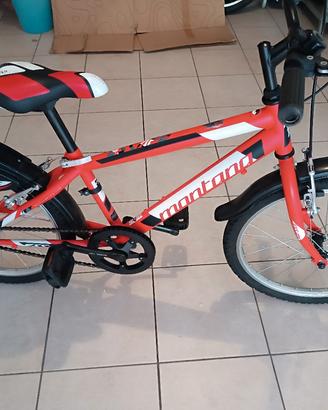 Mountain bike 