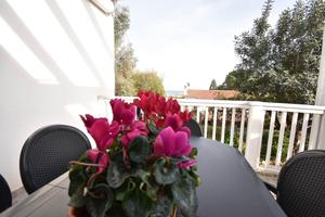 PERD'E SALI Casa VIRGINIA 200 mt dal mare