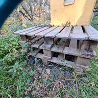  9 pallet alcuni Enpa