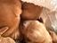 Immagine 4