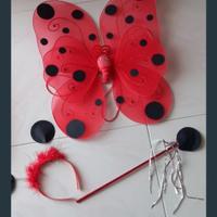 vestito di carnevale 