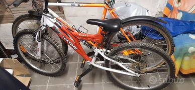 Biciclette mountain bike 24" e 26"