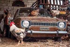 Auto d'epoca da restaurare 