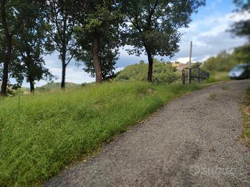 Terreno agricolo irriguo