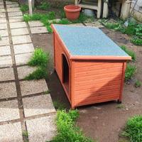 Cuccia cane taglia grande