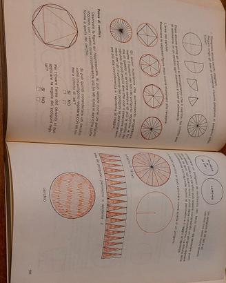 Guida didattica