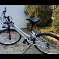 bicicletta ragazza mountain bike