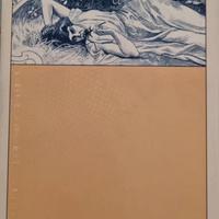 Libro  “Il Ritorno di Casanova”