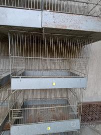 Gabbie  per canarini.