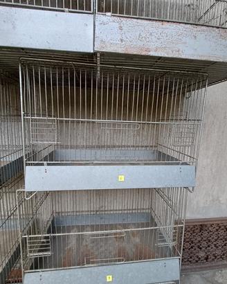 Gabbie  per canarini.