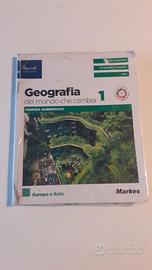 Libro scuola "Geografia di un mondo che cambia 1"