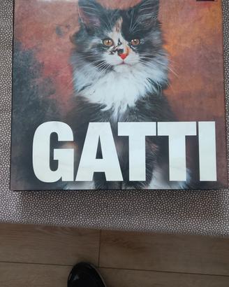 enciclopedia dei Gatti