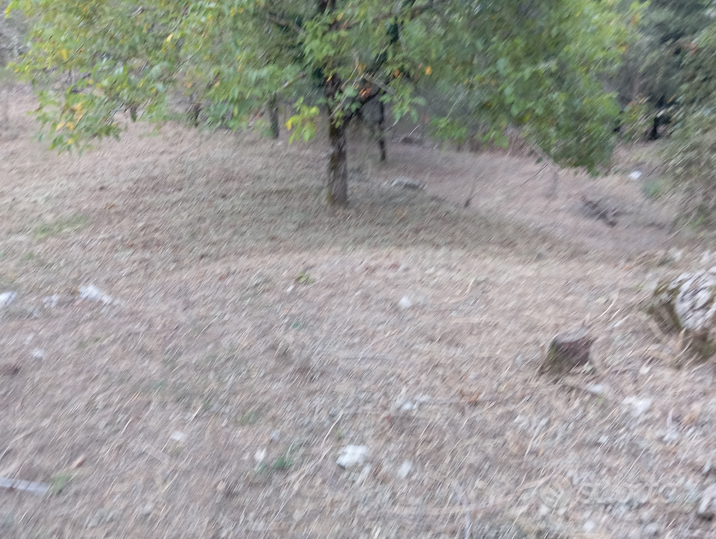 Casetta + terreno zona montagna - View 6