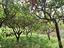 Immagine 11