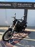 benelli-leoncino-500-trail