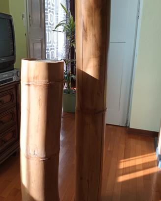 Candele giganti dentro il bambù.