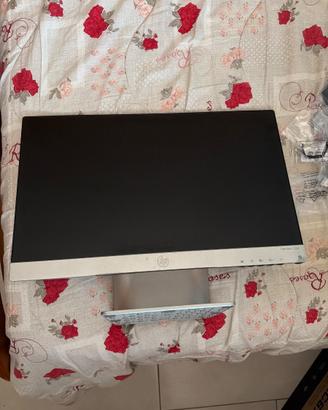Monitor hp 22 pollici