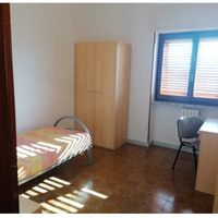 Stanza singola a ragazzo