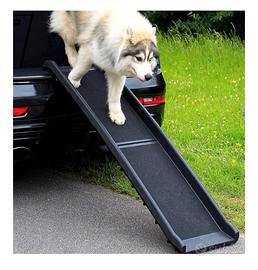 rampa per cani 