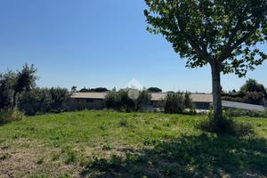 TERRENO A ALBANO LAZIALE