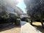 Immagine 29