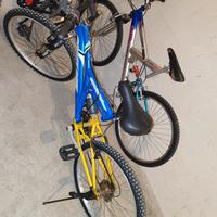 biciclette 