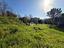 Immagine 27