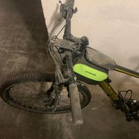 MOUNTAIN BIKE LOMBARDO SIGNUM 12