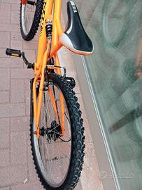 bici da ragazzo 