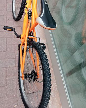 bici da ragazzo 