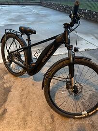 Emtb da trekking