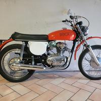 Ducati Altro modello - 2025