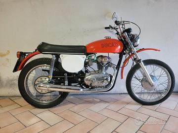 Ducati Altro modello - 2025