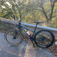 2020 Specialized rockhopper 29