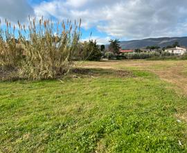 Terreno edificabile 14.000 mq Velletri